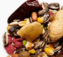 Albert E James Super Deluxe Parrot / Fruit 12.5kg