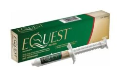 Equest Oral Gel