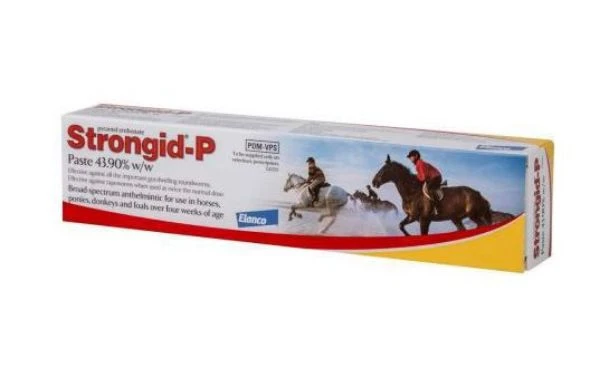 Strongid-P Paste 1 Strongid-P Paste