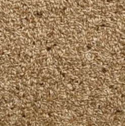 SkyGold Plain Canary 20kg