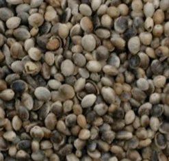 Colonels Hemp 15kg