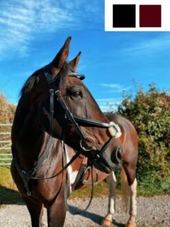 Cameo Equine Core Collection Grackle Bridle