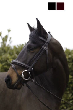 Cameo Equine Ecolux Bridle