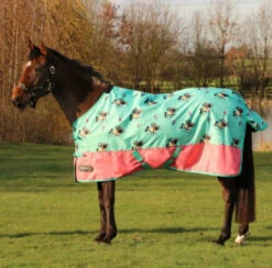 StormX Original 0g Turnout Rug Thelwell Collection Trophy Mint/Pink/Teal