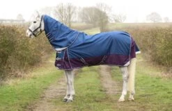 DefenceX System 0g Turnout Rug With Detachable Neck Cover Navy/Purple