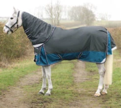 DefenceX System 50g Turnout Rug With Detachable Neck Cover Dark Grey/Teal