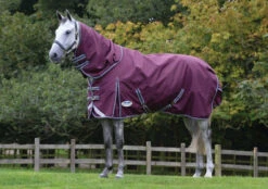 Weatherbeeta Comfitec Plus Dynamic II Detach-A-Neck Medium 220g Maroon/Grey/White