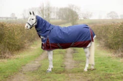 DefenceX System 450g Turnout Rug 3 In 1 Navy/Damson Red
