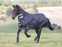 Shires Tempest Plus 300g Turnout Combo Black