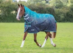 Shires Tempest Original 200g Combo Turnout Rug Teal Lightning