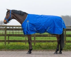 QHP Turnout Rug Collection 150g Splash