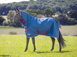 Shires Tempest Original Lite Combo Turnout Rug Teal