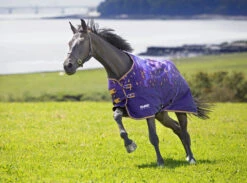 Shires Tempest Original Lite Turnout Rug Amethyst