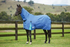 Weatherbeeta Comfitec Classic Combo Lite Delft Blue/Mint