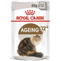 Royal Canin Cat - Pouch Box Ageing Jelly 12x85g