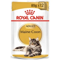 Royal Canin Cat - Pouch Box Maine Coon 12x85g