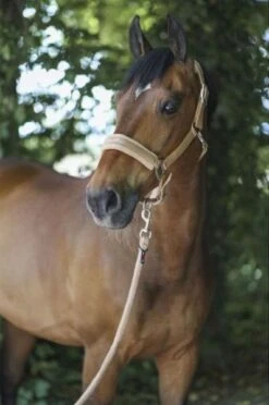 Covalliero Halter Sand