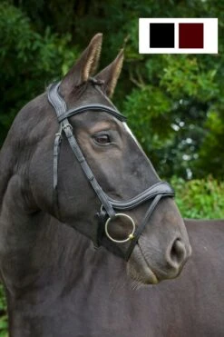 Cameo Equine Ecosoft Enigma Bridle