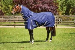 Weatherbeeta Comfitec Essential Detach-A-Neck Medium 220g Navy/Silver/Red