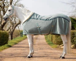 QHP Show Rug Equestrian Dream Dusty Olive