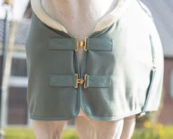 QHP Show Rug Equestrian Dream Dusty Olive -Pet Supply Store 0024898 qhp show rug equestrian dream dusty olive