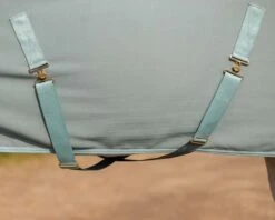 QHP Show Rug Equestrian Dream Dusty Olive -Pet Supply Store 0024900 qhp show rug equestrian dream dusty olive