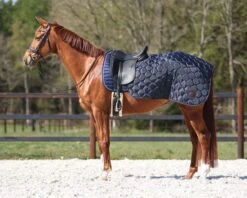 QHP Quarter Rug Classy Navy
