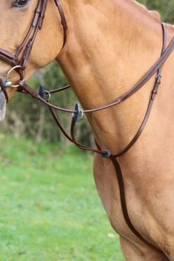 Shires Velociti GARA Running Martingale Havana