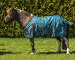 QHP Turnout Rug Falabella Collection 0g Wave