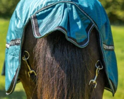 QHP Turnout Rug Falabella Collection 0g Wave -Pet Supply Store 0027154 qhp turnout rug falabella collection 0g wave