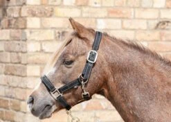 Cameo Performance Fieldsafe Headcollar Black/Reflective